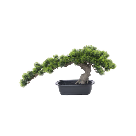 Artificial Faux Bonsai Plant In Plastic Pot